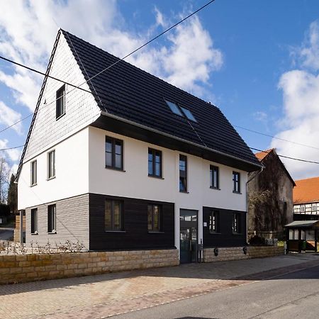 Neues Ferienhaus Gohrisch Bagian luar foto