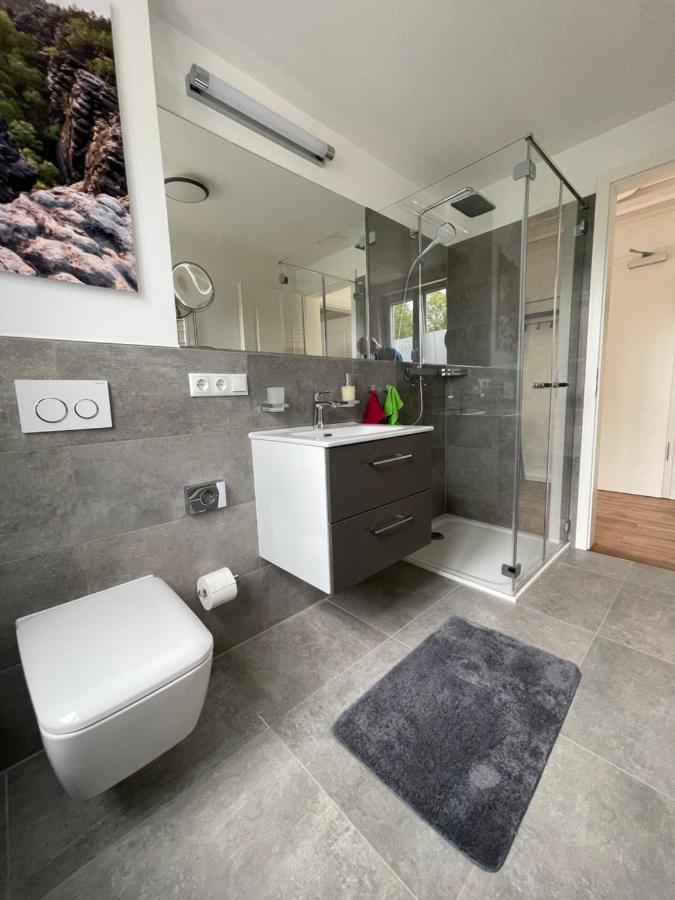 Neues Ferienhaus Gohrisch Bagian luar foto